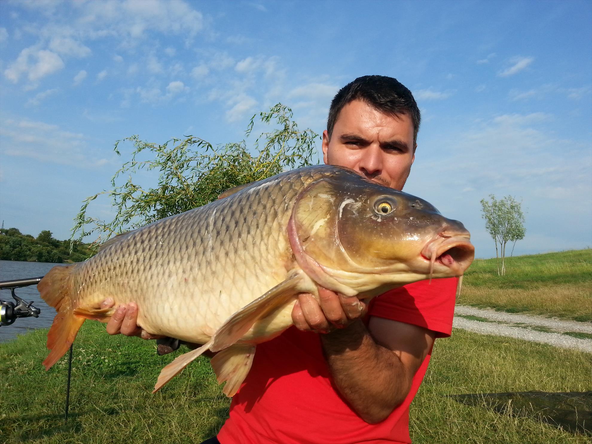 Moara Vlasiei 2 15 - 16 iulie 2014 - 20140716080952.jpg